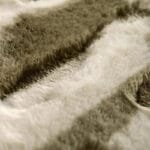 élevez Votre Bain Avec Notre élégant Tapis Shaggy En Microfibre!