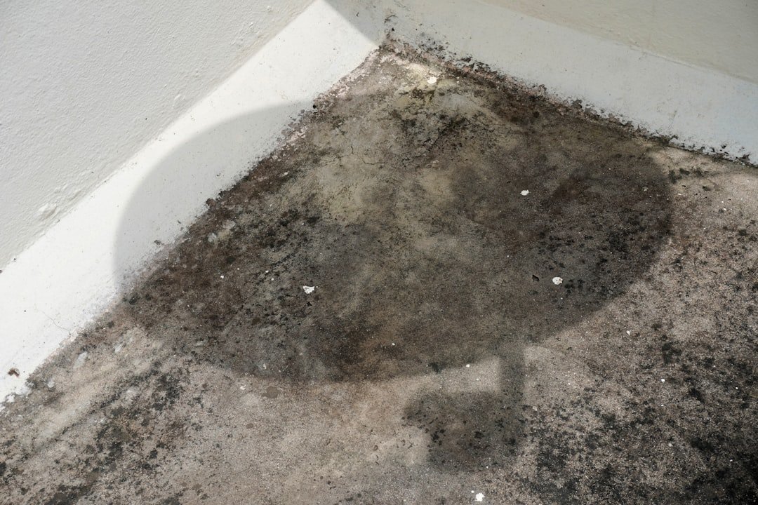 sous-couche salle de bain